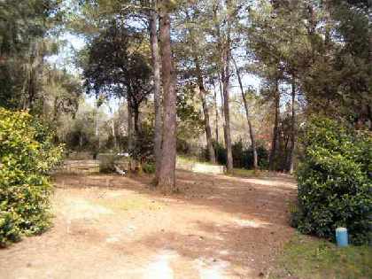 Shady Site