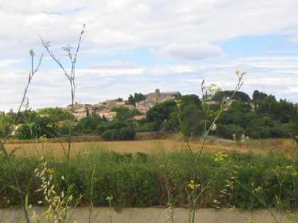 The view of the village of Gallargues taken from the site itself