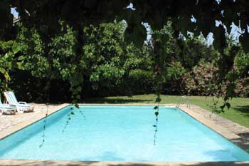 The Pool (from covered terrace)