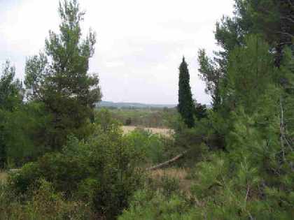 Grounds