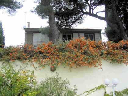 Guardian's House