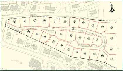 Development Plan