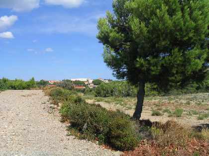 Quiet countryside, but near to the town