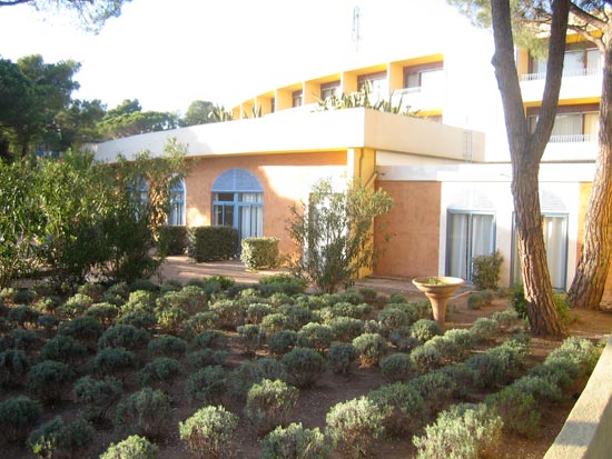Rear