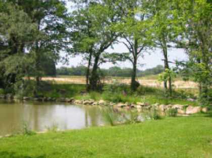 The lake