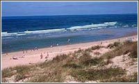 Local beach