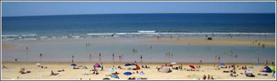 Local beach