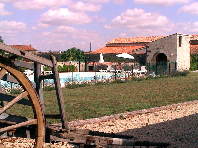 The pool again