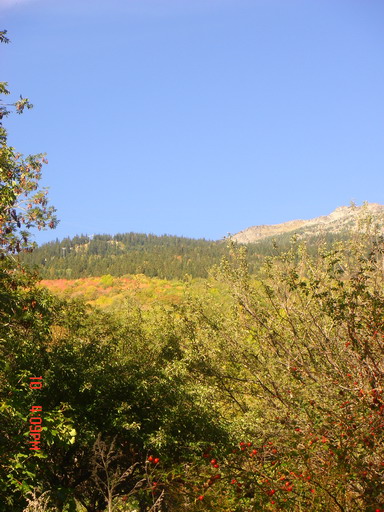 Mountain view