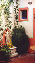 a corner of the terrace garden
