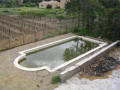 The Pool