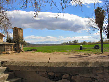 View from the Buildings