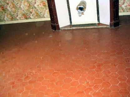 Tomette Tiled Floor