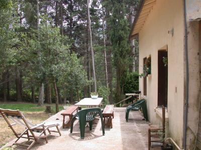 The Terrace
