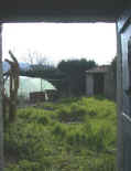 The 'Sun Trap' Garden