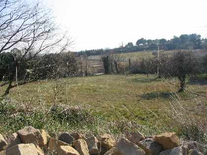 The land
