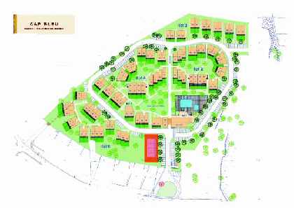 Development Plan